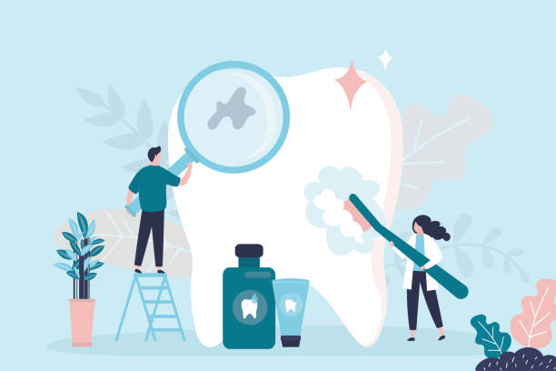 Professional Holistic Dental Care Services in Ranlo, NC